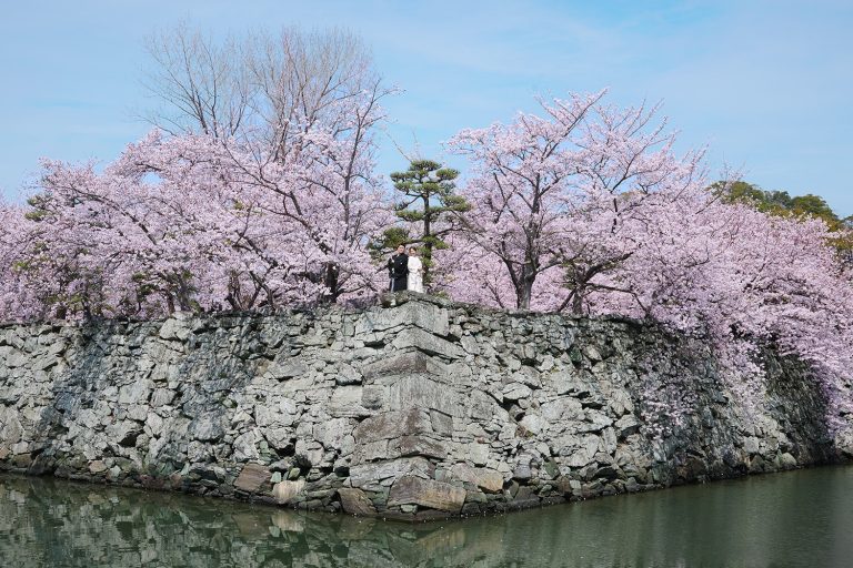 徳島中央公園で桜前撮り
