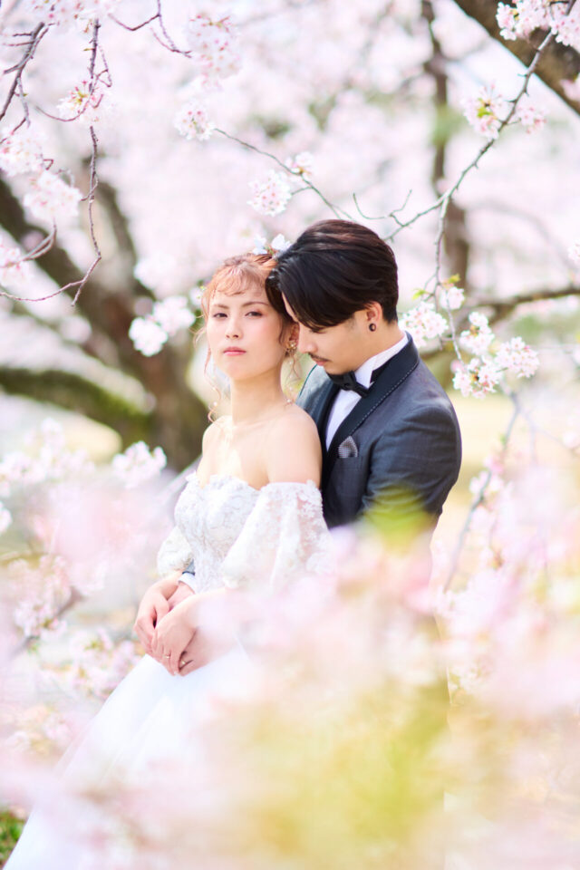 桜　ウェディング　フォトウェディング　ロケーション撮影