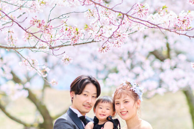 ロケーション撮影　桜　春の季節　家族写真
