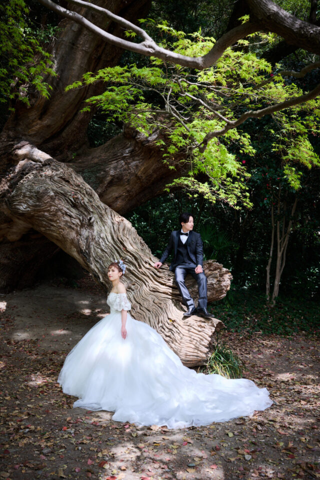 フォトウェディング　ロケーション撮影　家族写真